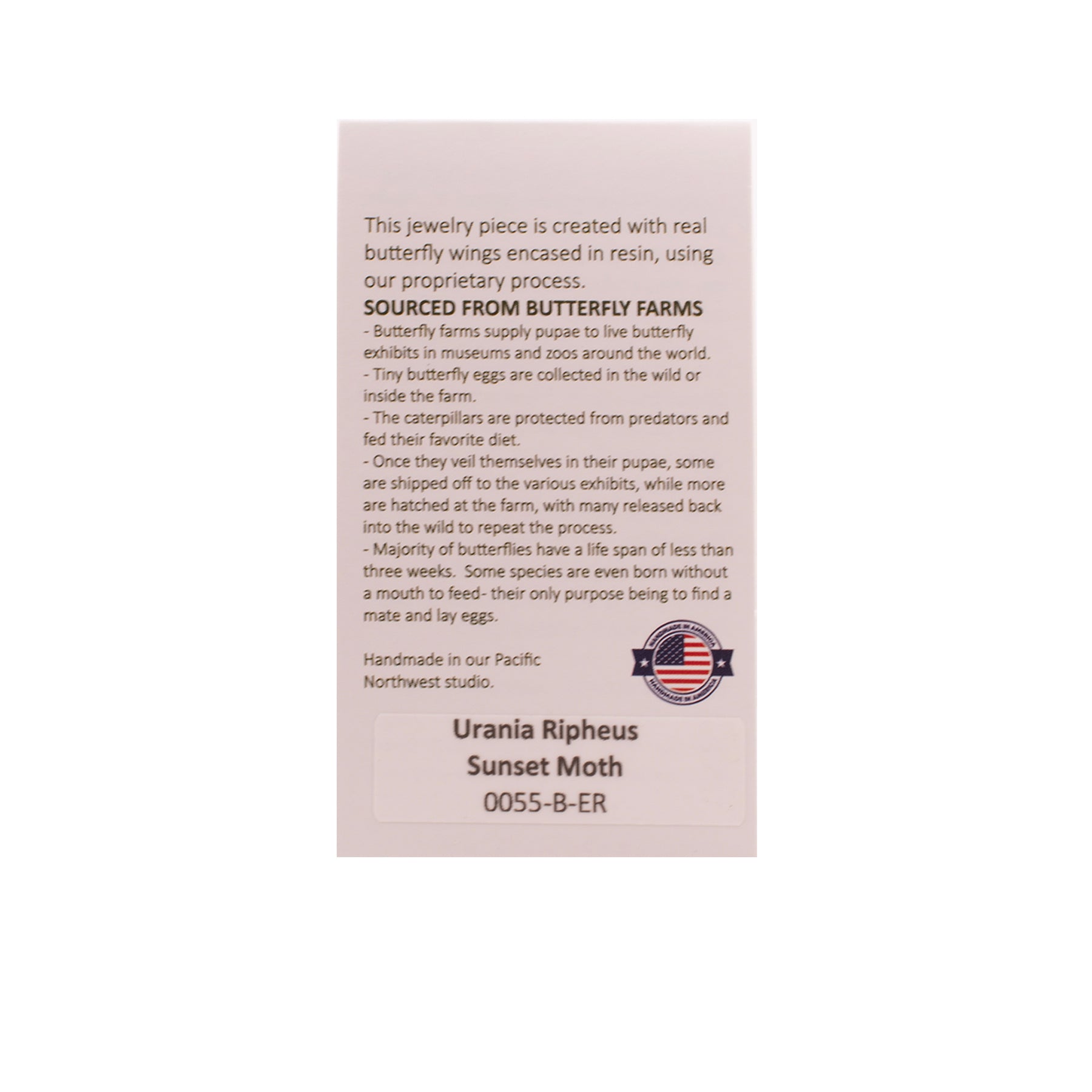 Sunset Moth Earrings