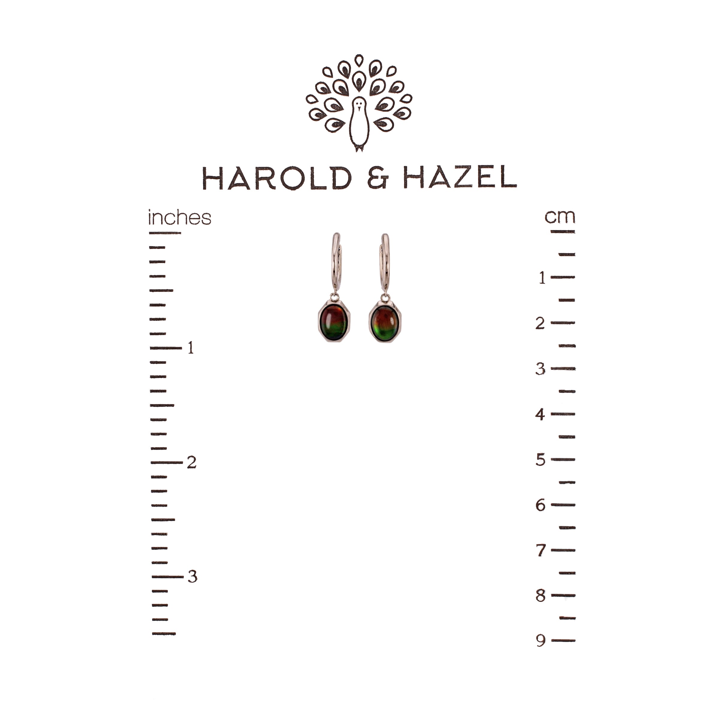 Ammolite Oval Earrings