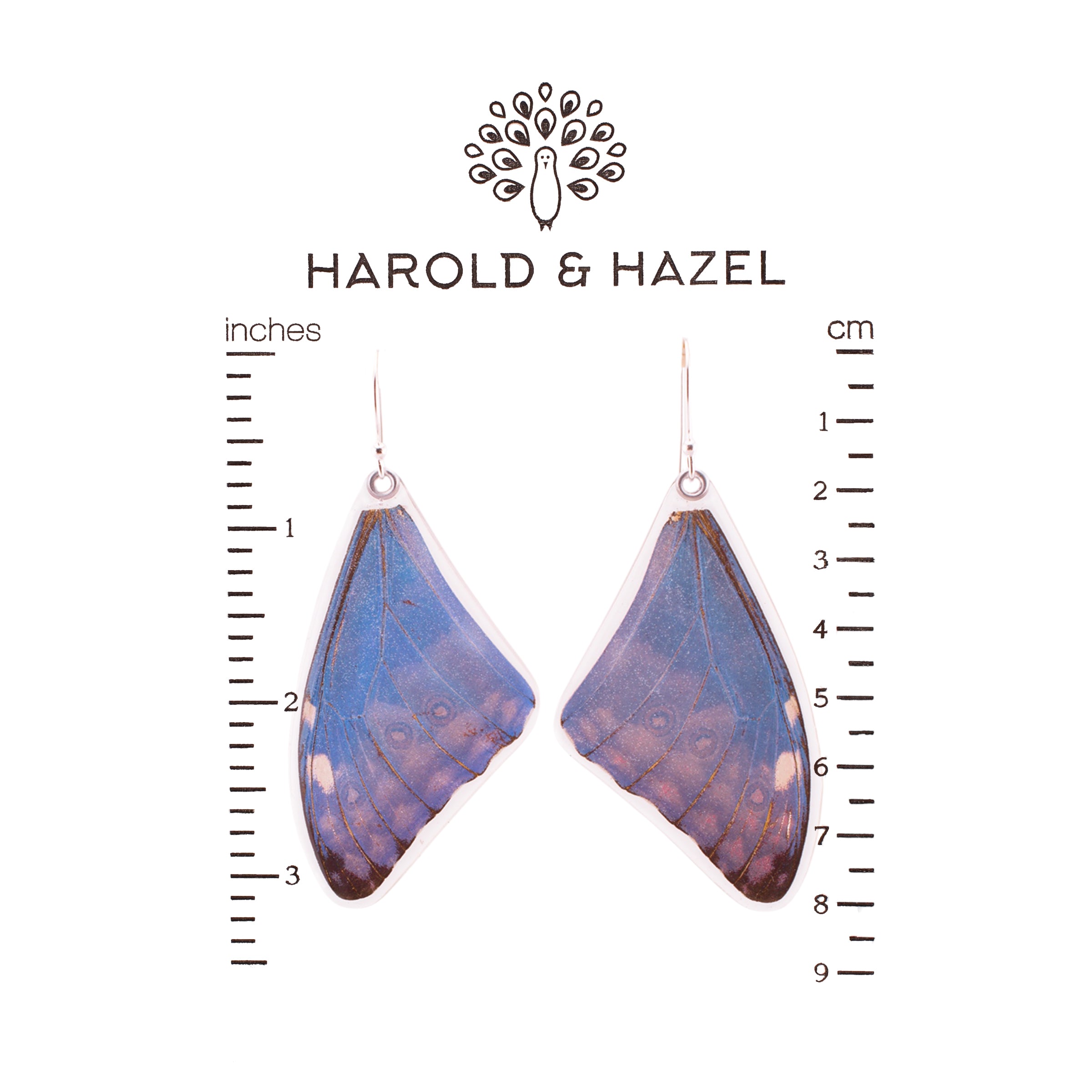 Blue Morpho Adonis Butterfly Earrings