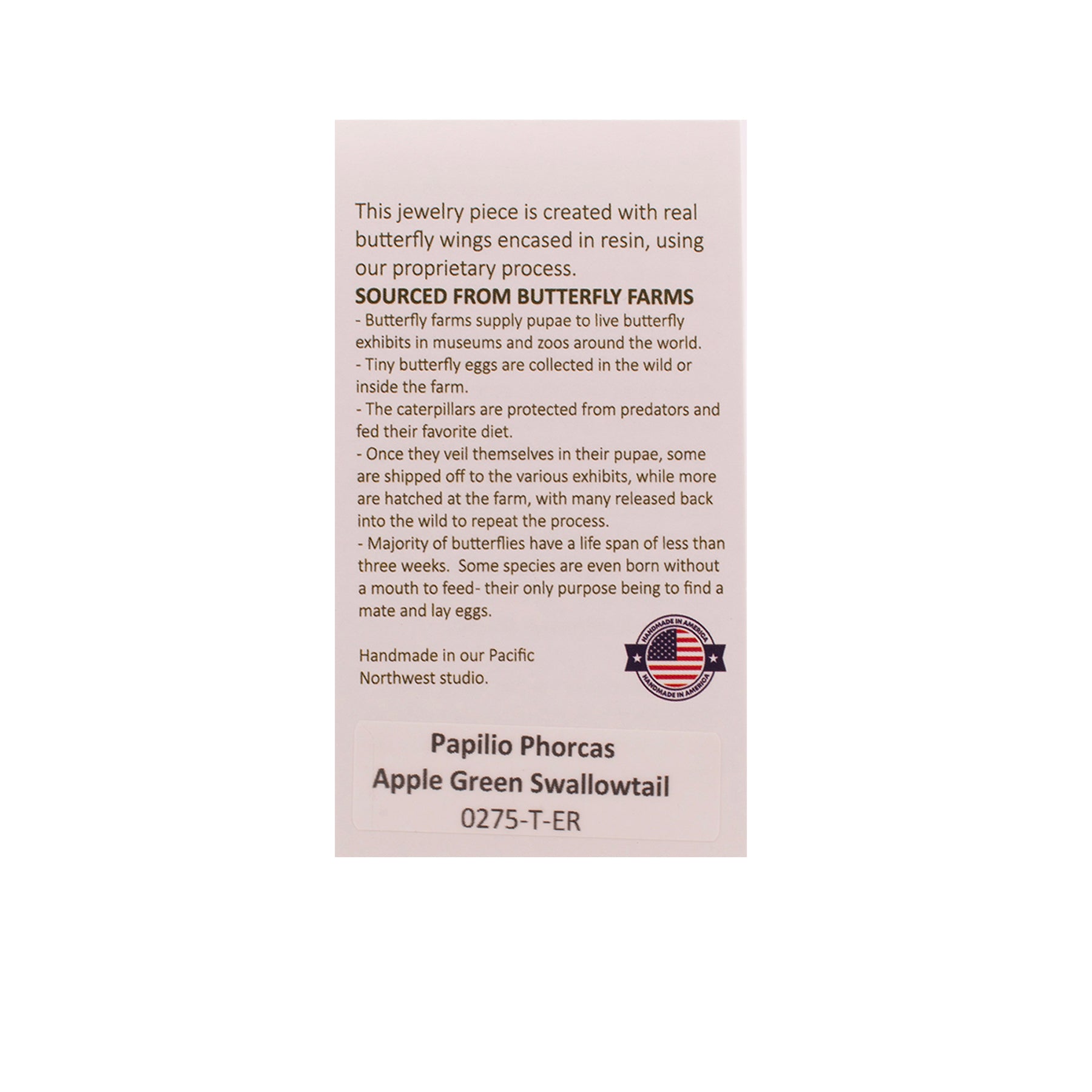 Apple Green Swallowtail Butterfly Earrings