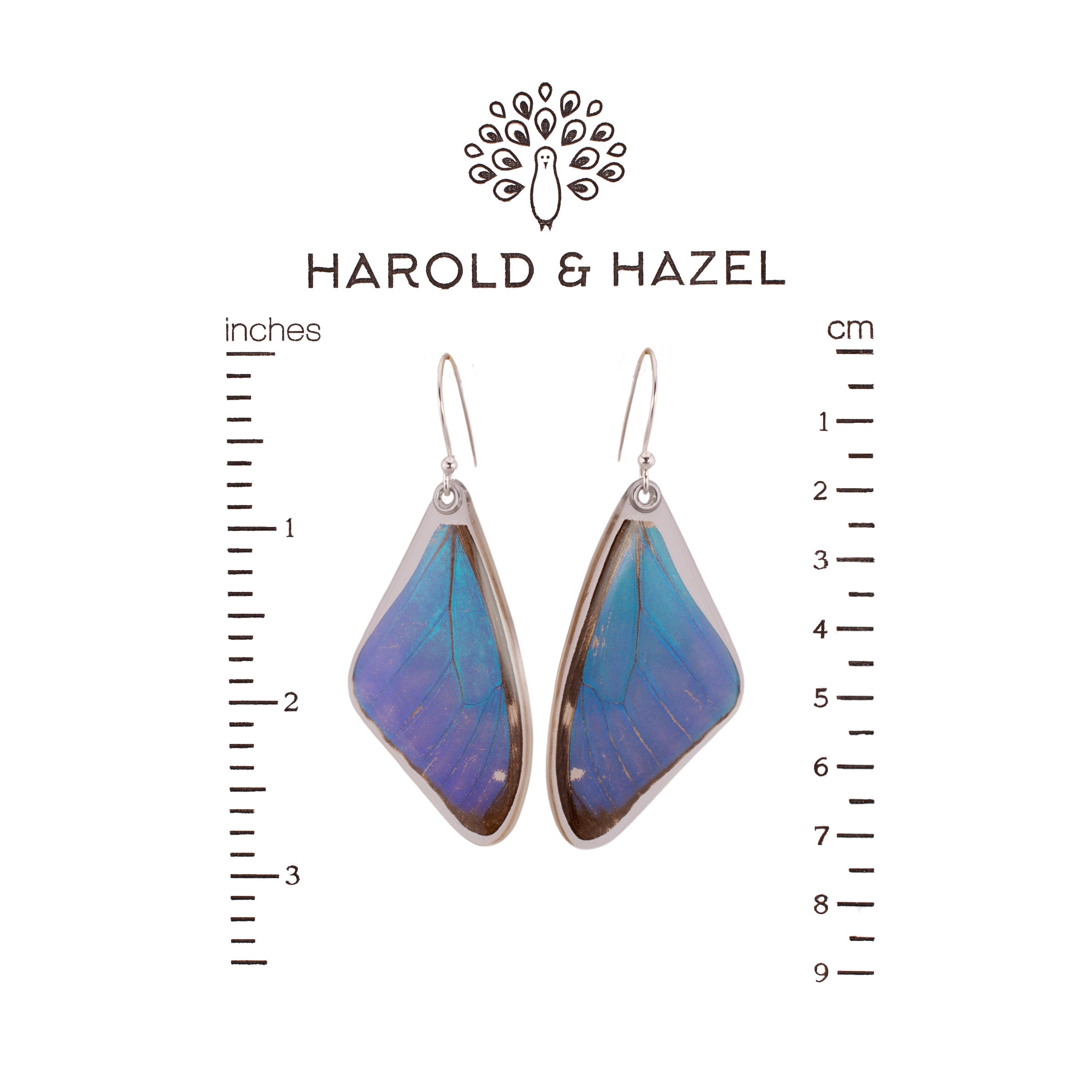 Blue Morpho Aega Earrings