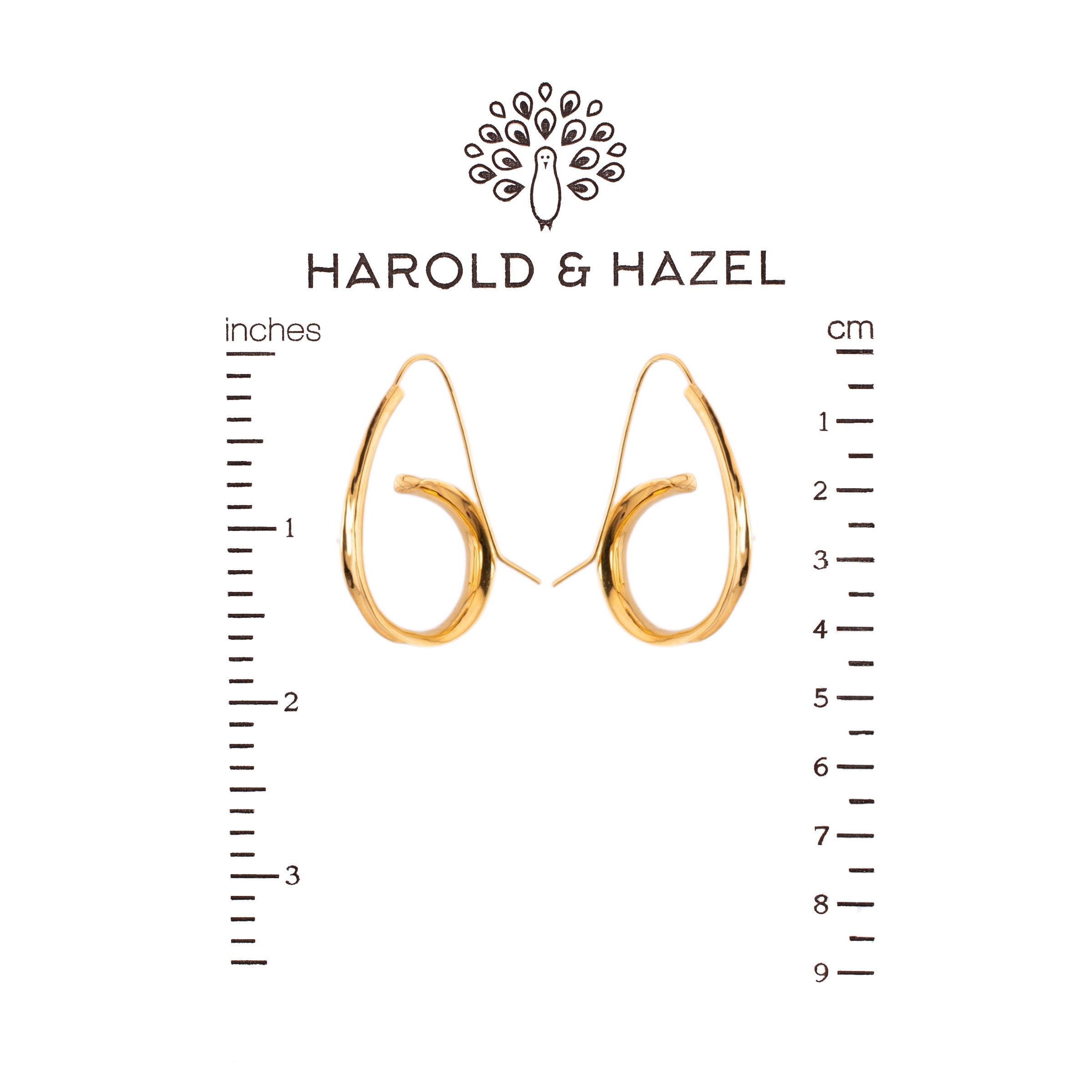 Sweetman Swirl Hoops