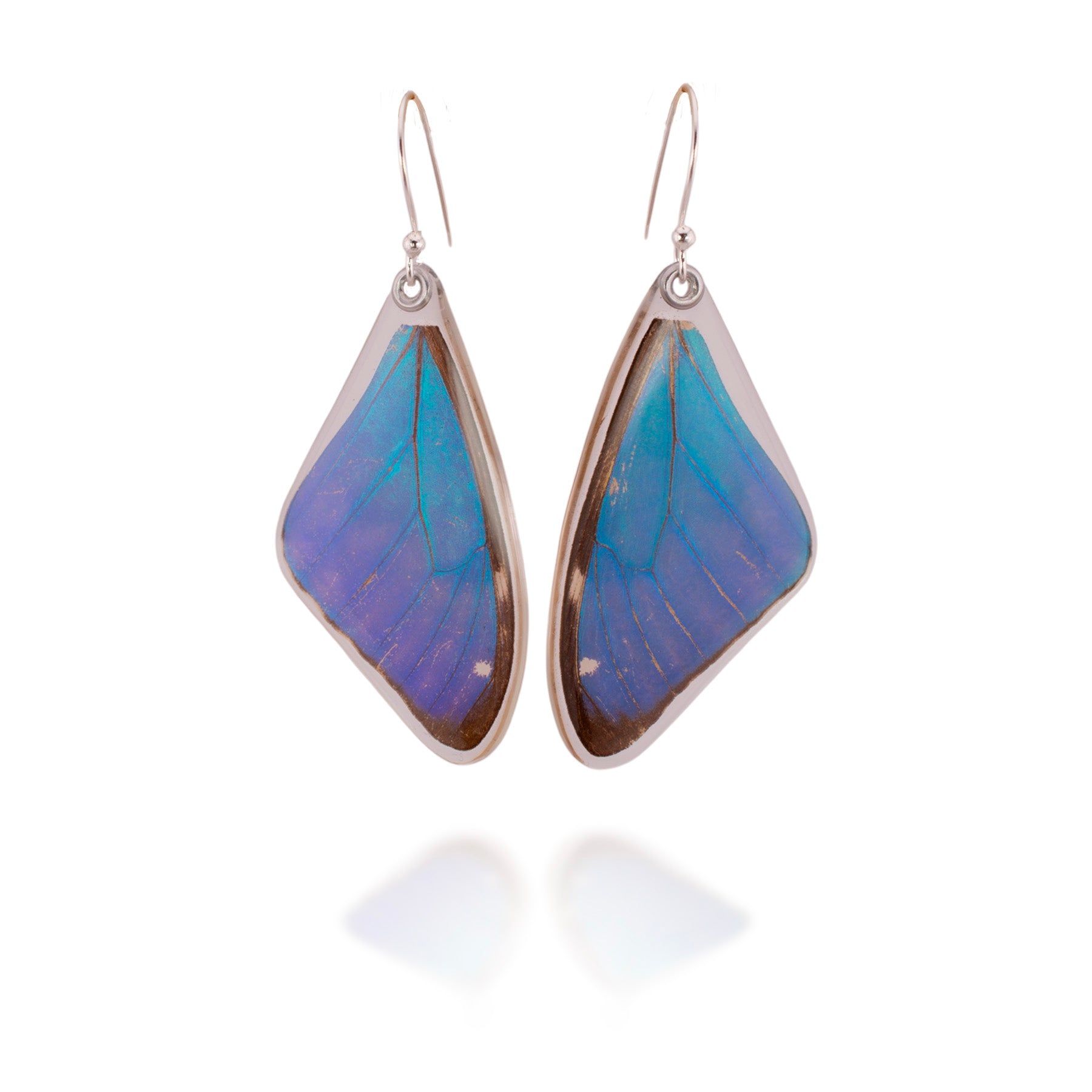 Blue Morpho Aega Earrings