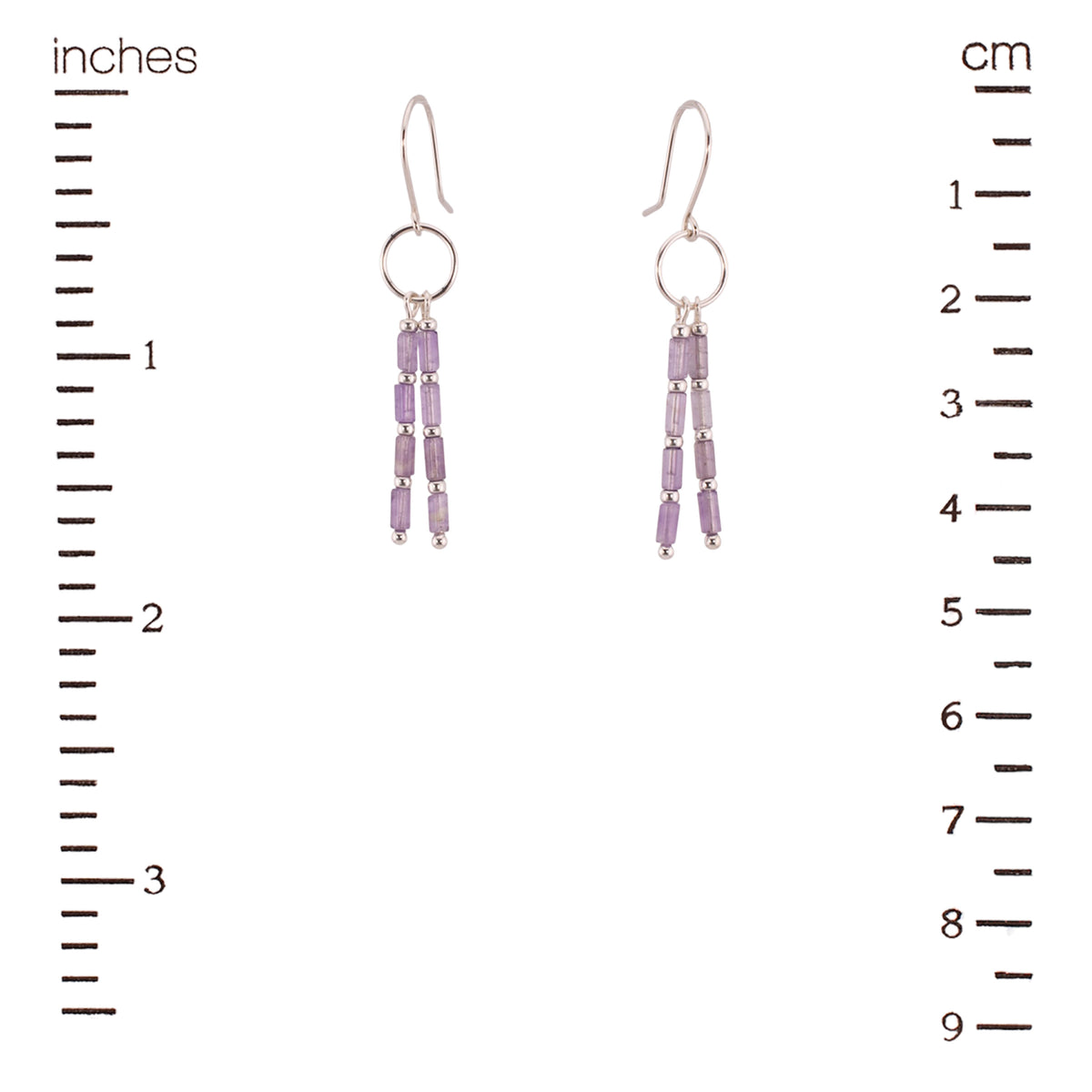Dusk in Montana Earrings