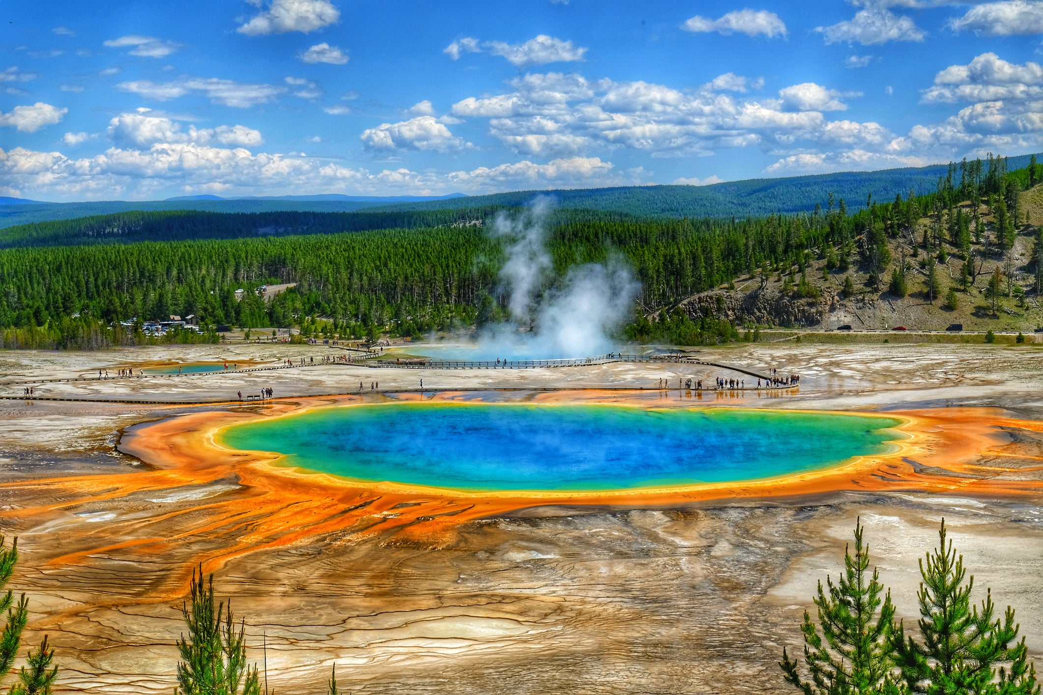 Picture of a sulfur spring at Yellowstone National Park